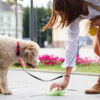 Bonnie Bio Compostable Dog Poop T-Shirt Bags Bonnie Bio Compostable Dog Poop T-Shirt Bags