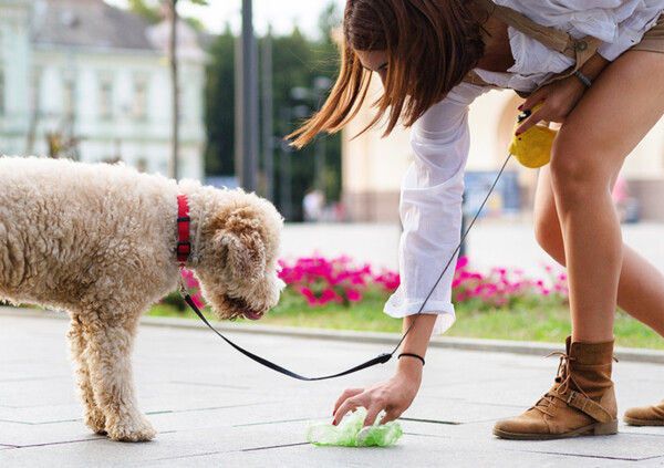 Bonnie Bio Compostable Dog Poop T-Shirt Bags Bonnie Bio Compostable Dog Poop T-Shirt Bags