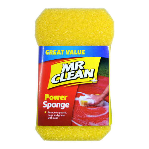 Mr Clean Power Sponge