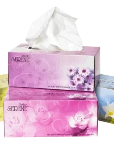 Toilet Tissues